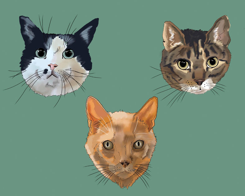 Kitties (Commission)